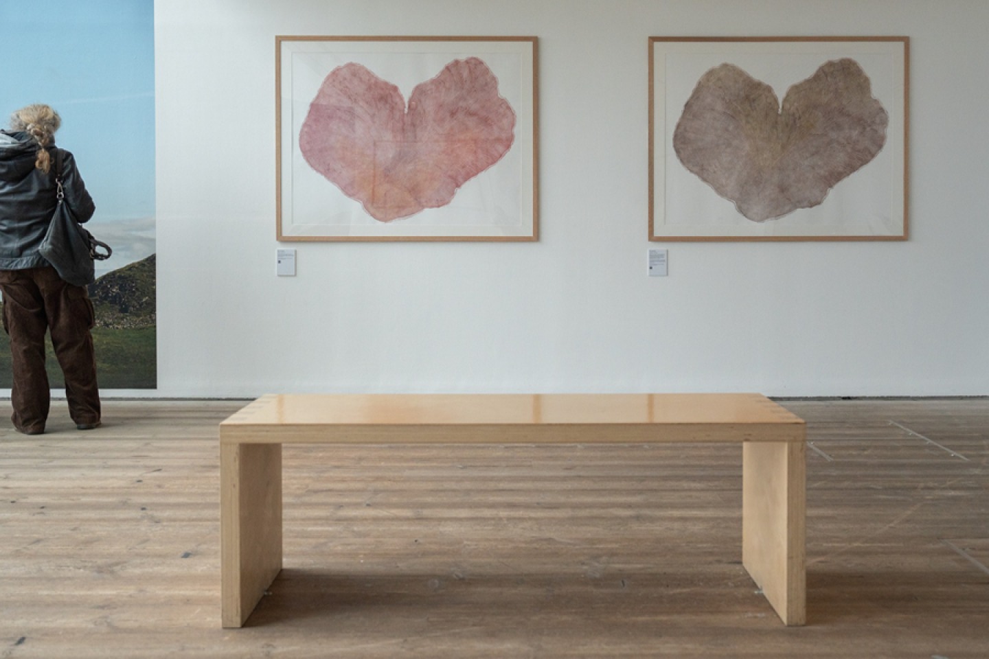 Heartwood Sycamore Gap Exhbition