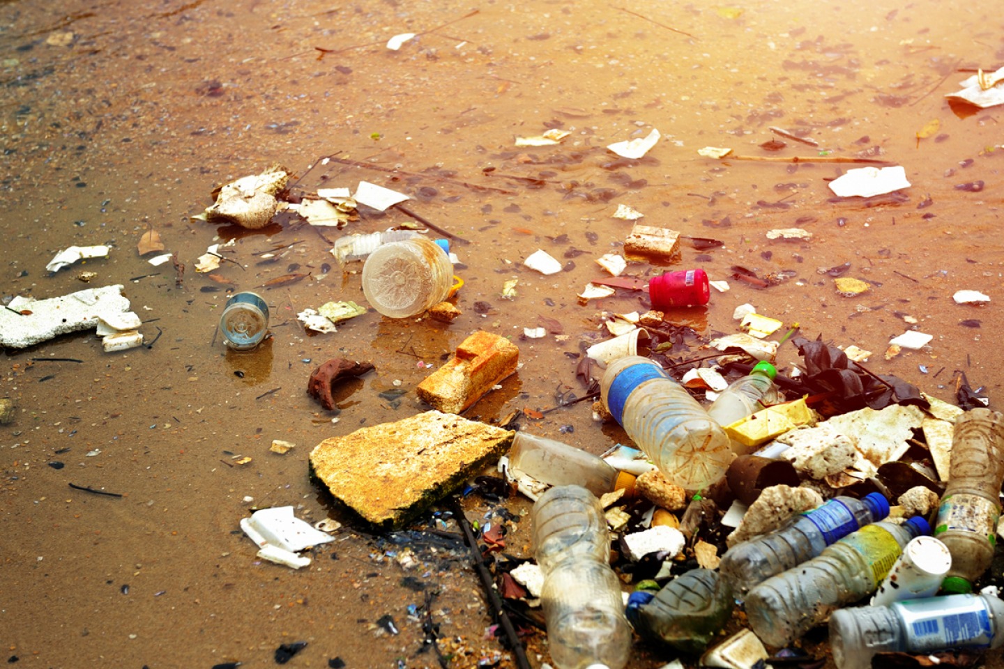Beach Clean Up