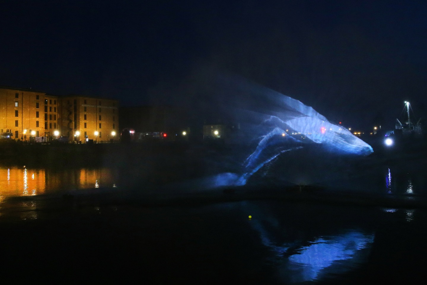 Whale light projection