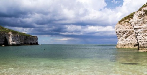 How Capturing Our Coast is Helping to Protect Marine Life in Yorkshire (and How You Can Get Involved)