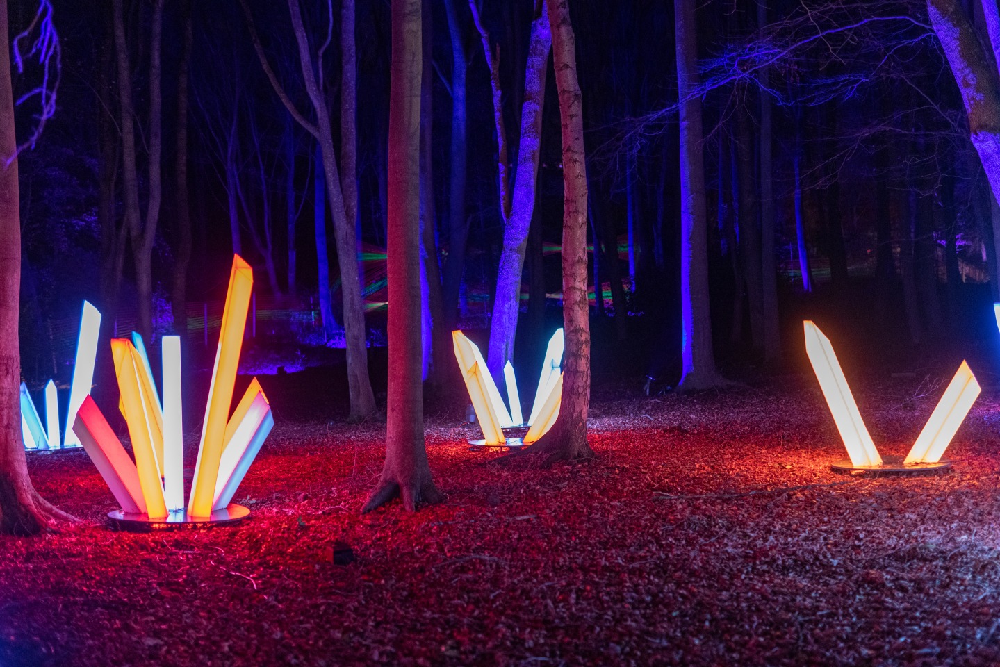 Illuminations at Gibside Light Trail 2021 Sony Music. Credit: Andrew Ogilvy Photography