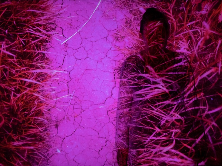 Be a Part of Dalby Forest's Newest Exhibition