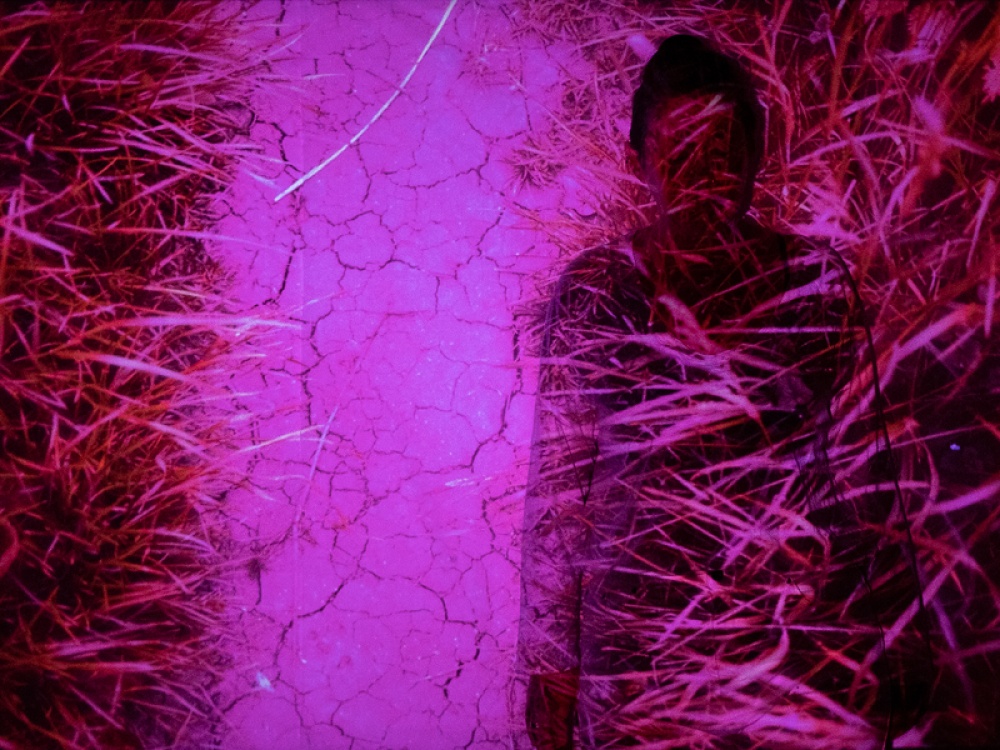 Be a Part of Dalby Forest's Newest Exhibition