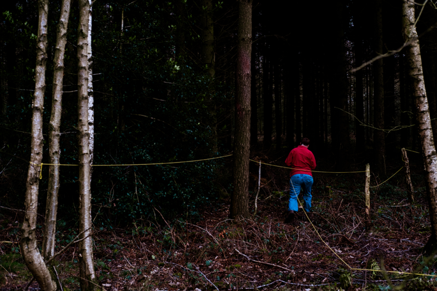 ©Rimell Terra Incognita - The Tresspass_Into the woods