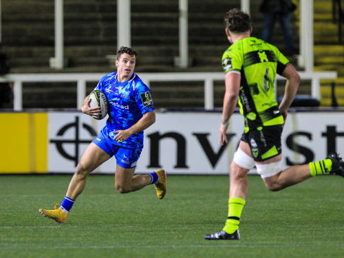 Support Newcastle Falcons and Alzheimer's Society in EPCR Challenge Cup Clash Against Montpellier