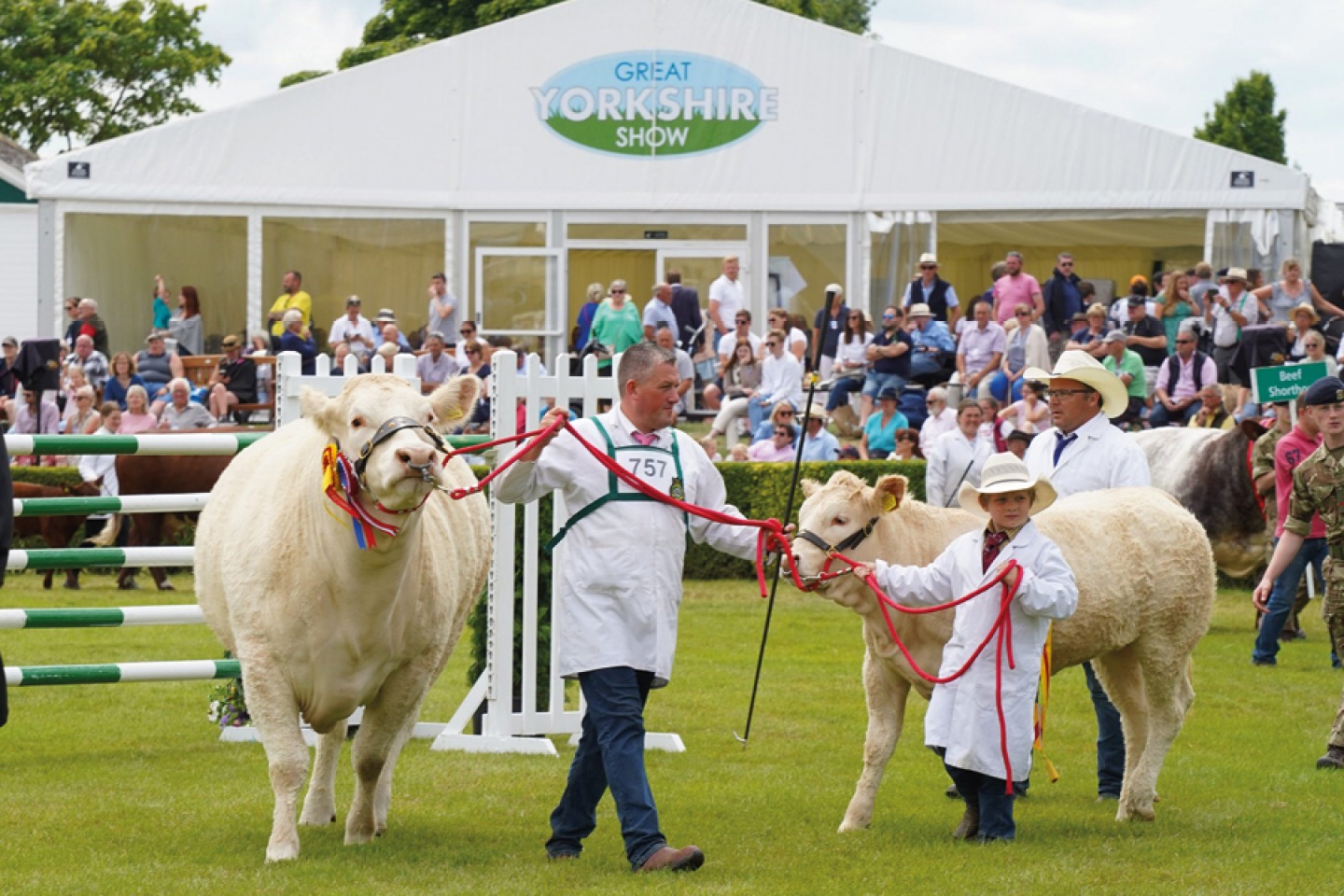 GYS22 Grand Cattle Parade