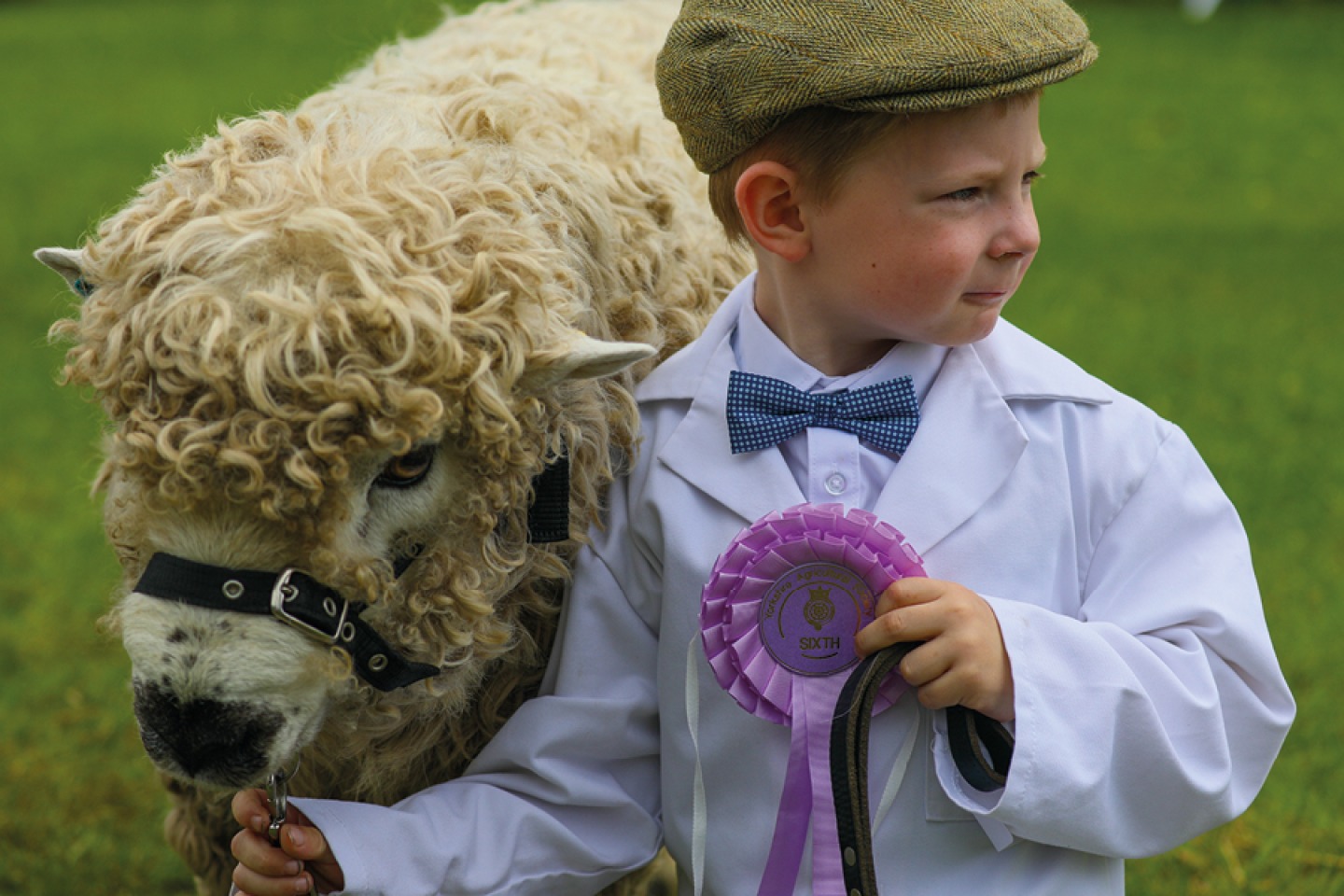 2019 Young-Handlers