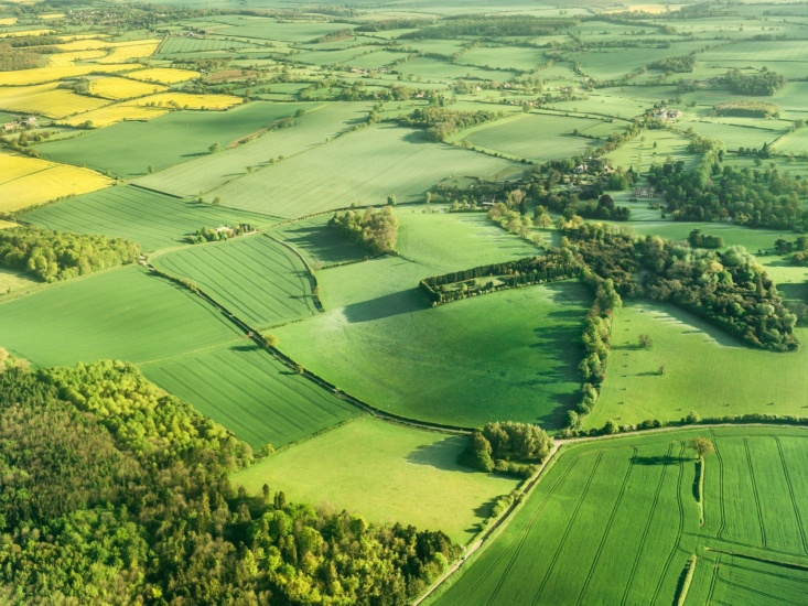 Ariel view of countryside and fields with hedgerows