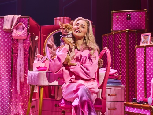 Review: Legally Blonde The Musical at Newcastle Theatre Royal
