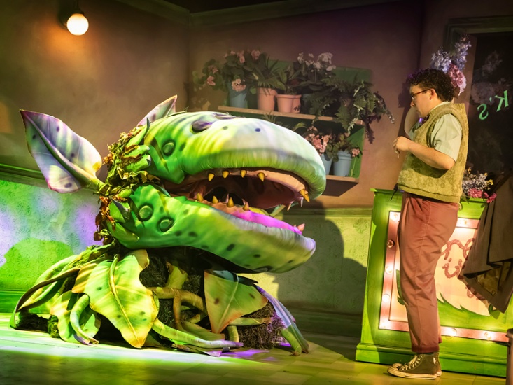 Review: Little Shop of Horrors at Northern Stage