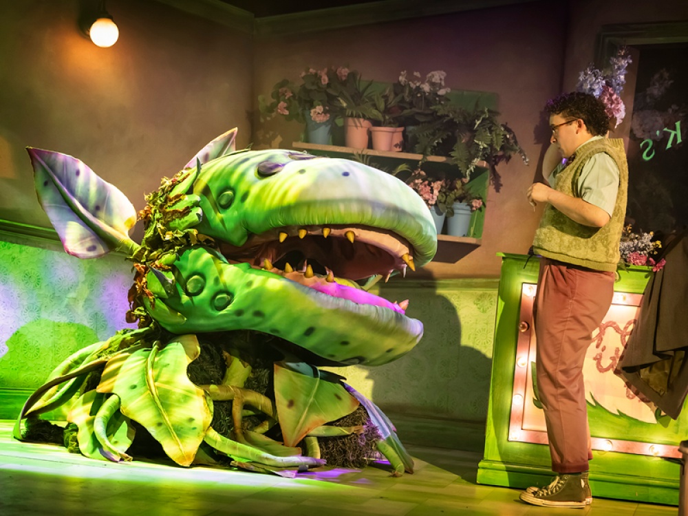 Review: Little Shop of Horrors at Northern Stage