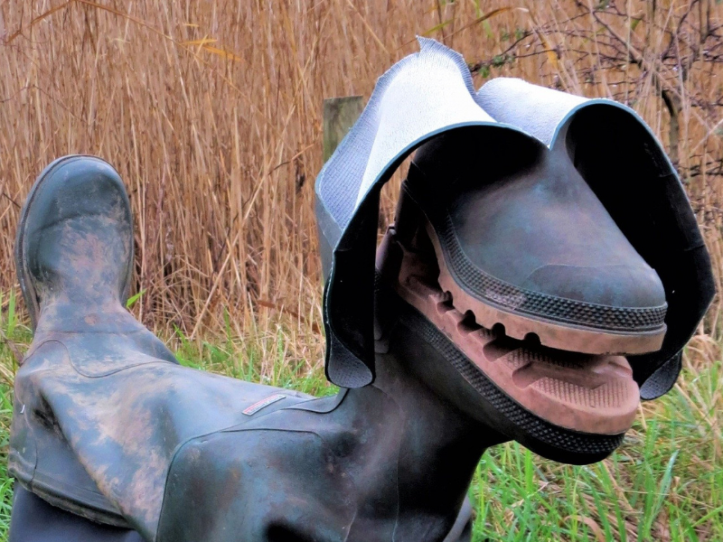 a dog made out of welly boots