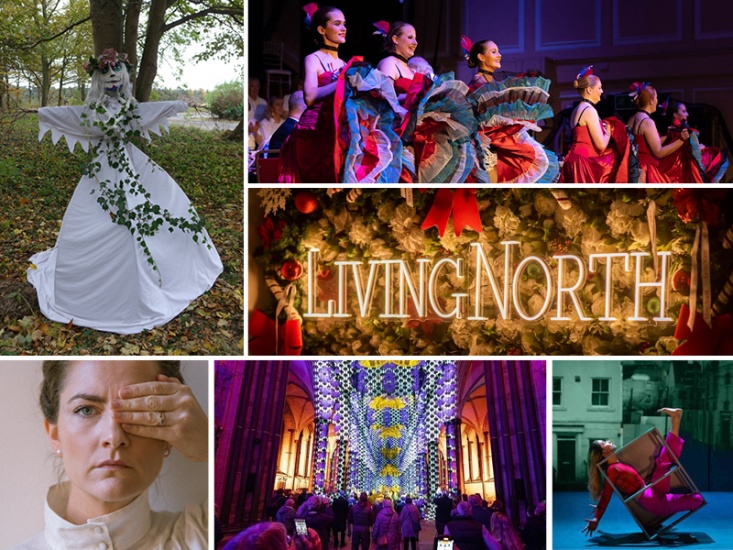 Collage of images featured in the article