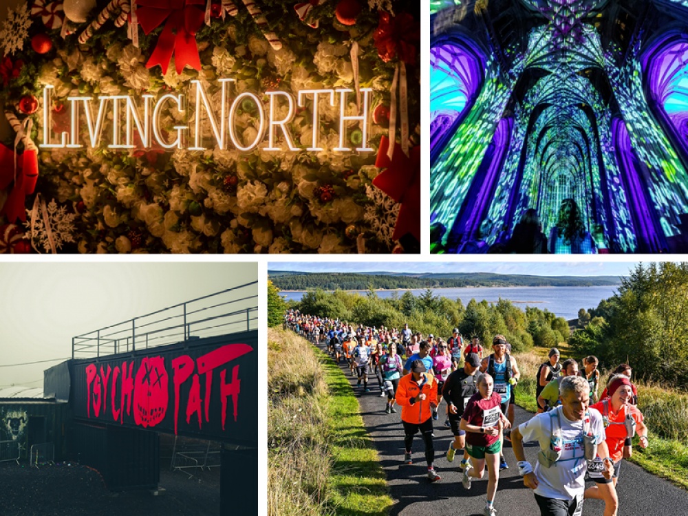 collage of activities