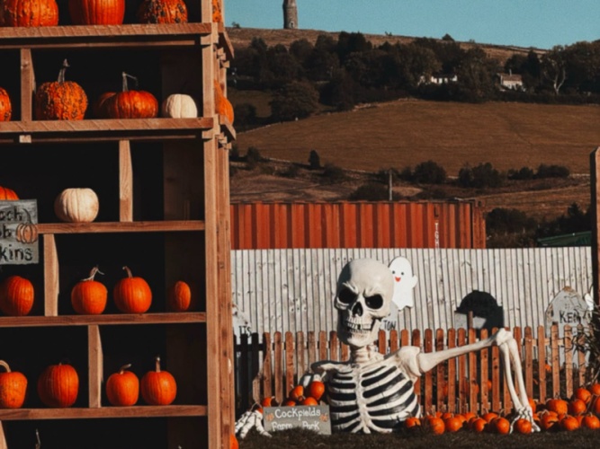 Pumpkins
