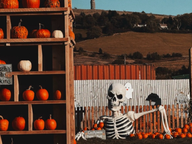 Pumpkins