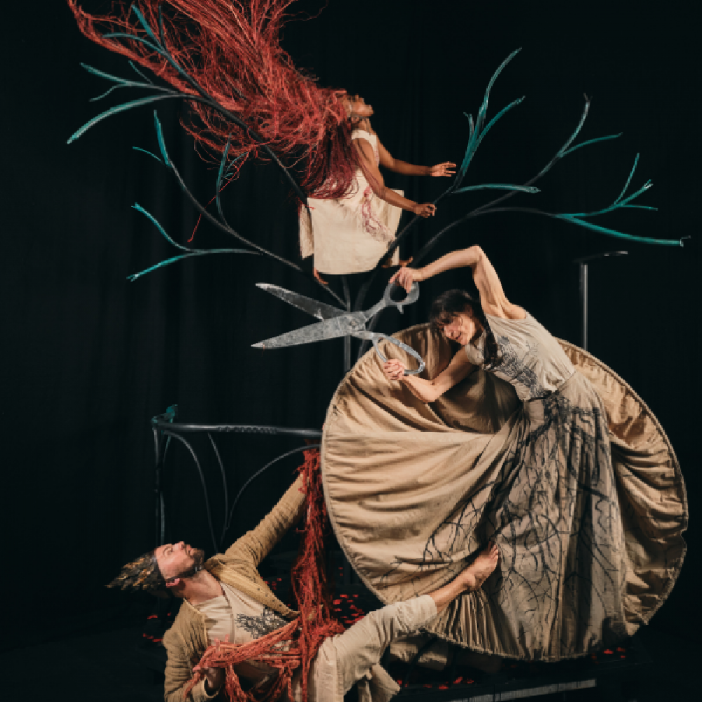 balletLORENT Rapunzel, Luke Waddington