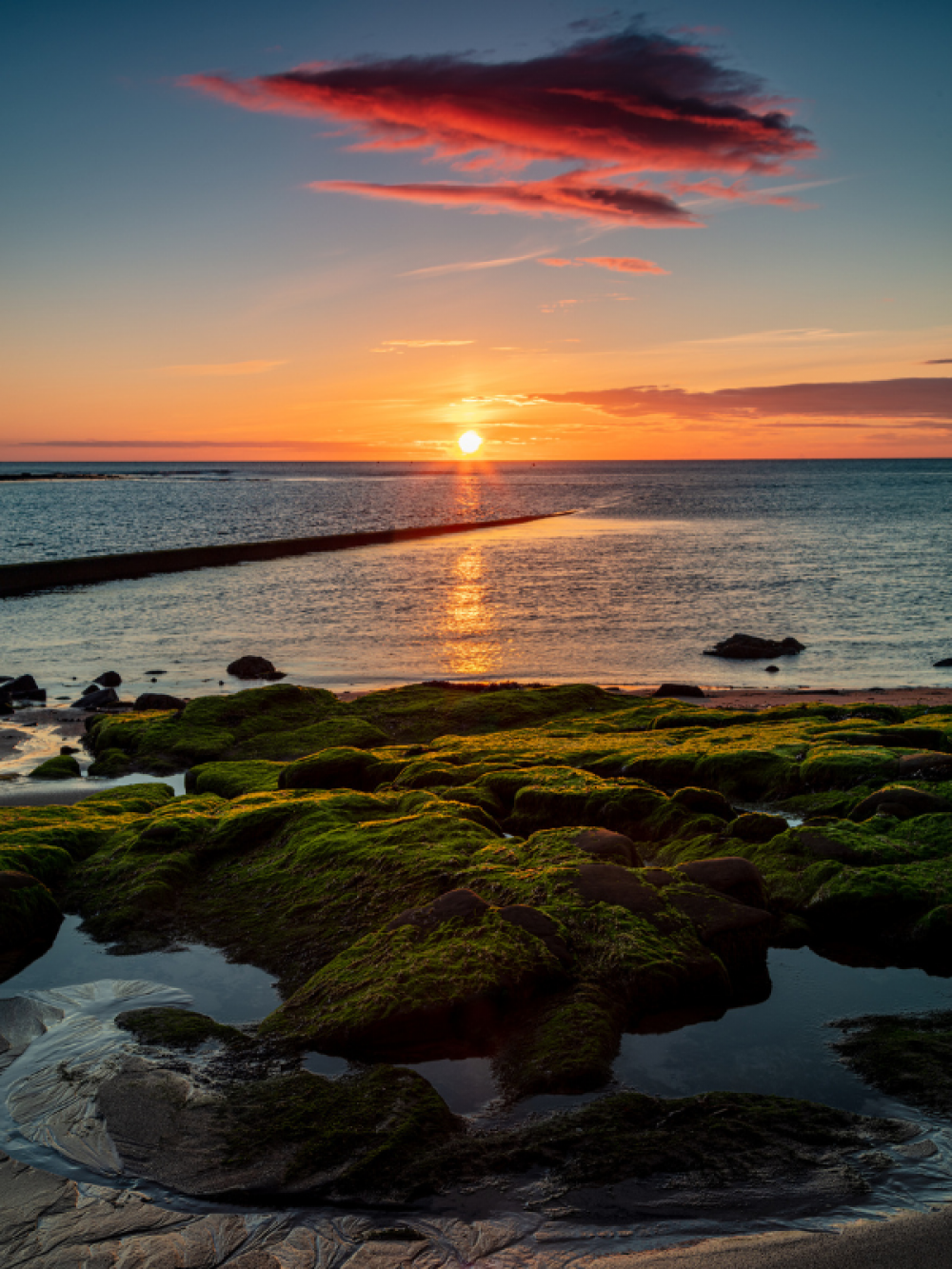 Cresswell Beach