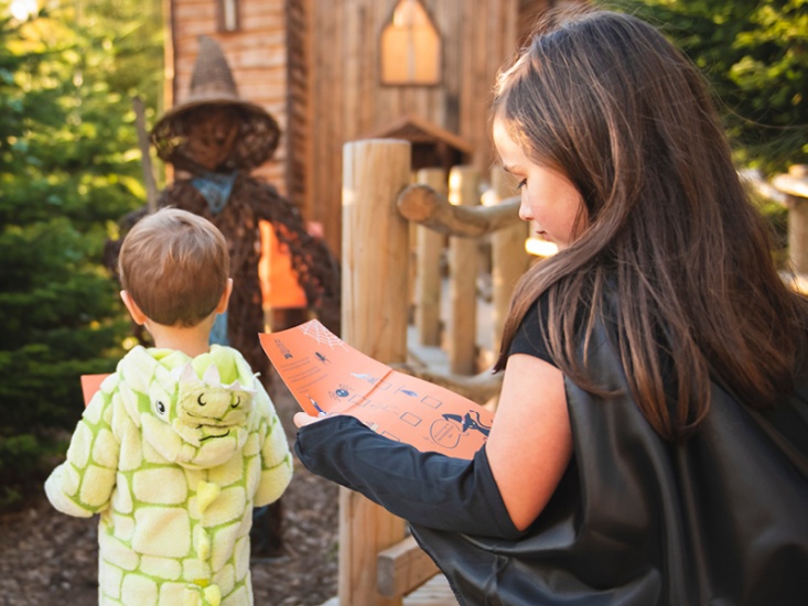 The Plotters' Forest at Halloween