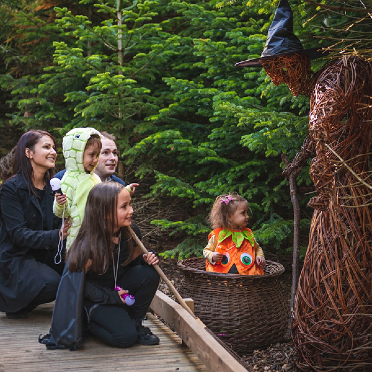 The Plotters' Forest at Halloween - Raby Castle
