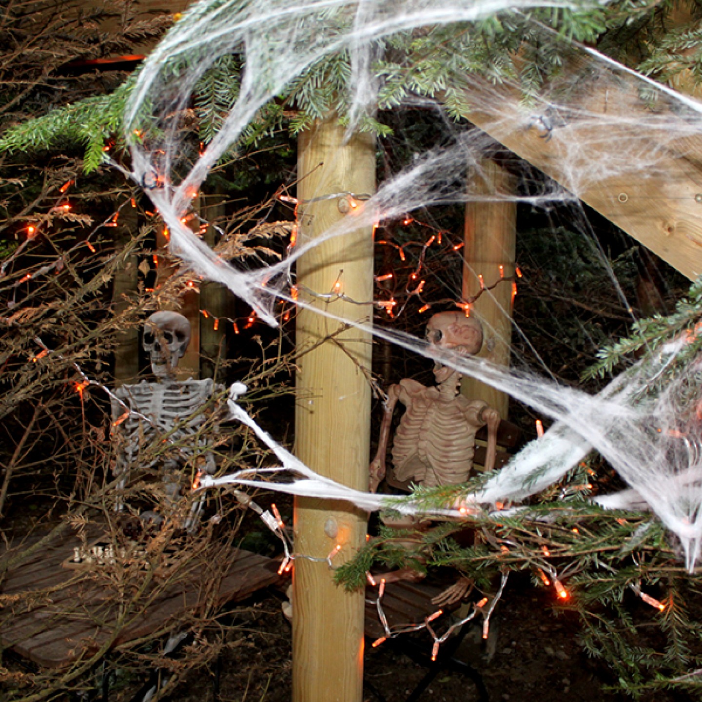 The Plotters' Forest at Halloween - Raby Castle