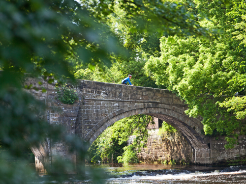 Why You Should Visit Bradford This Summer