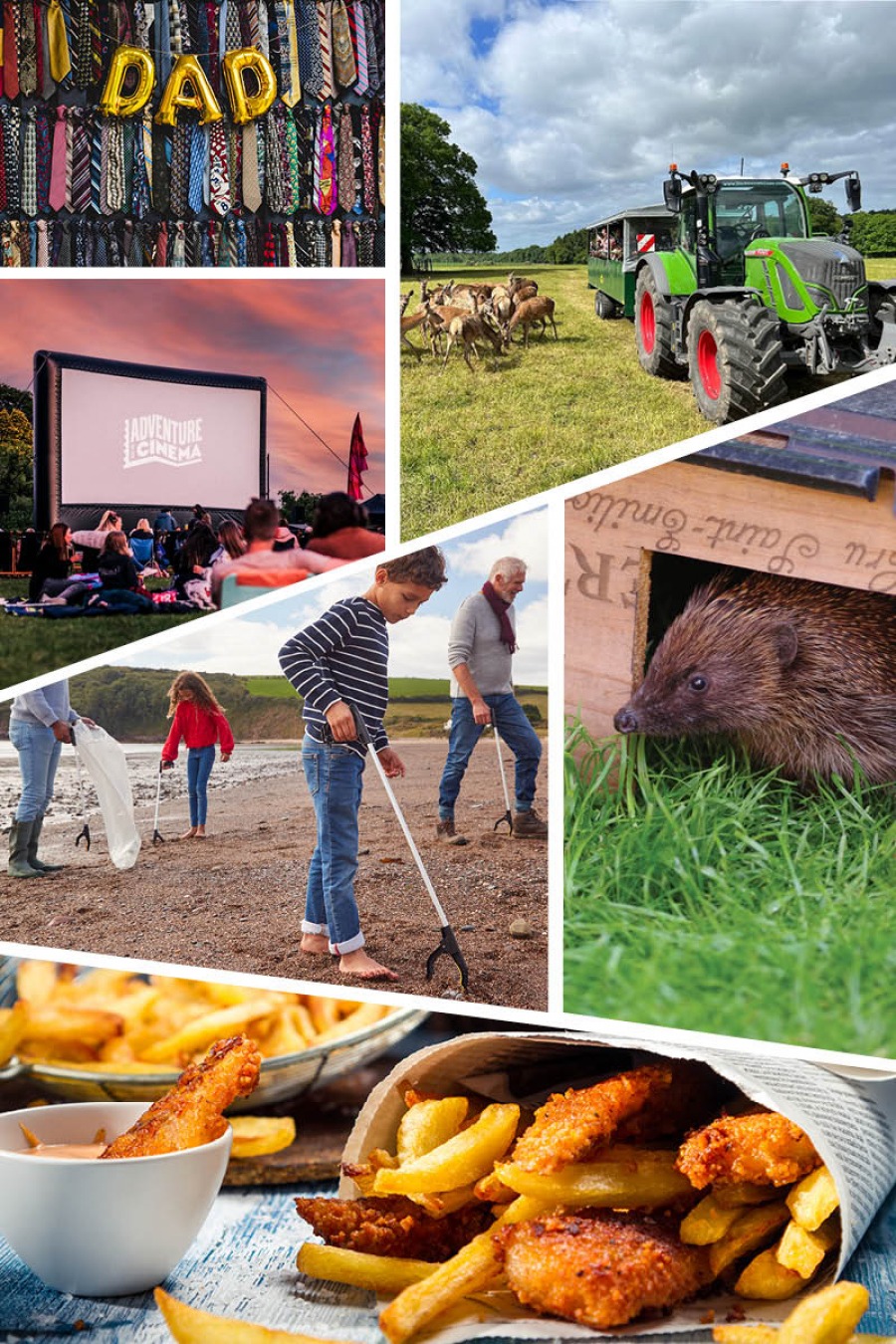 Selection of images from around the North East. Fish and chips, a green tractor at a deer park, an adventure cinema and children and adults litter picking