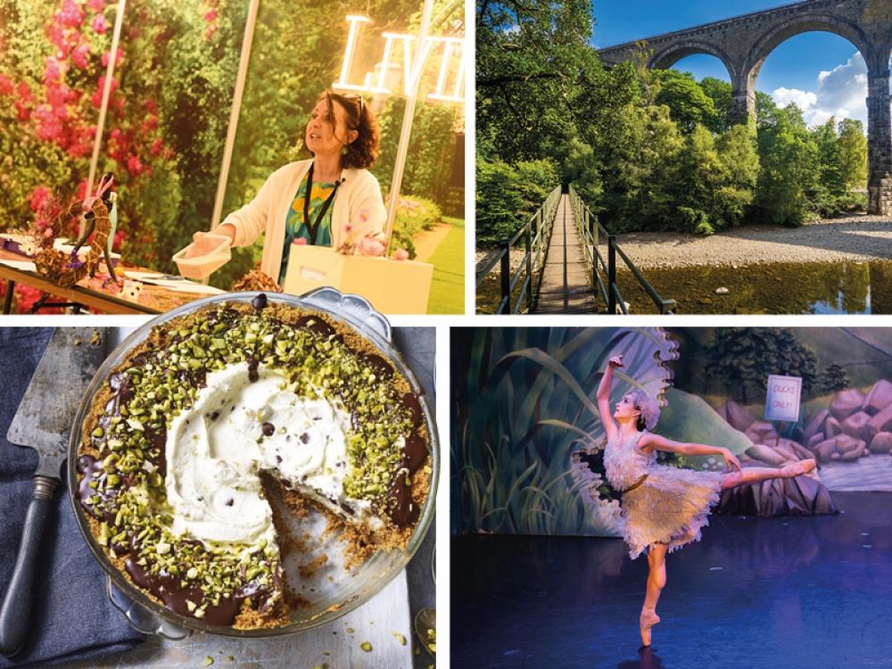 Collage of featured images