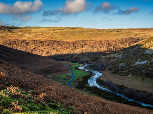 What To Do This Weekend