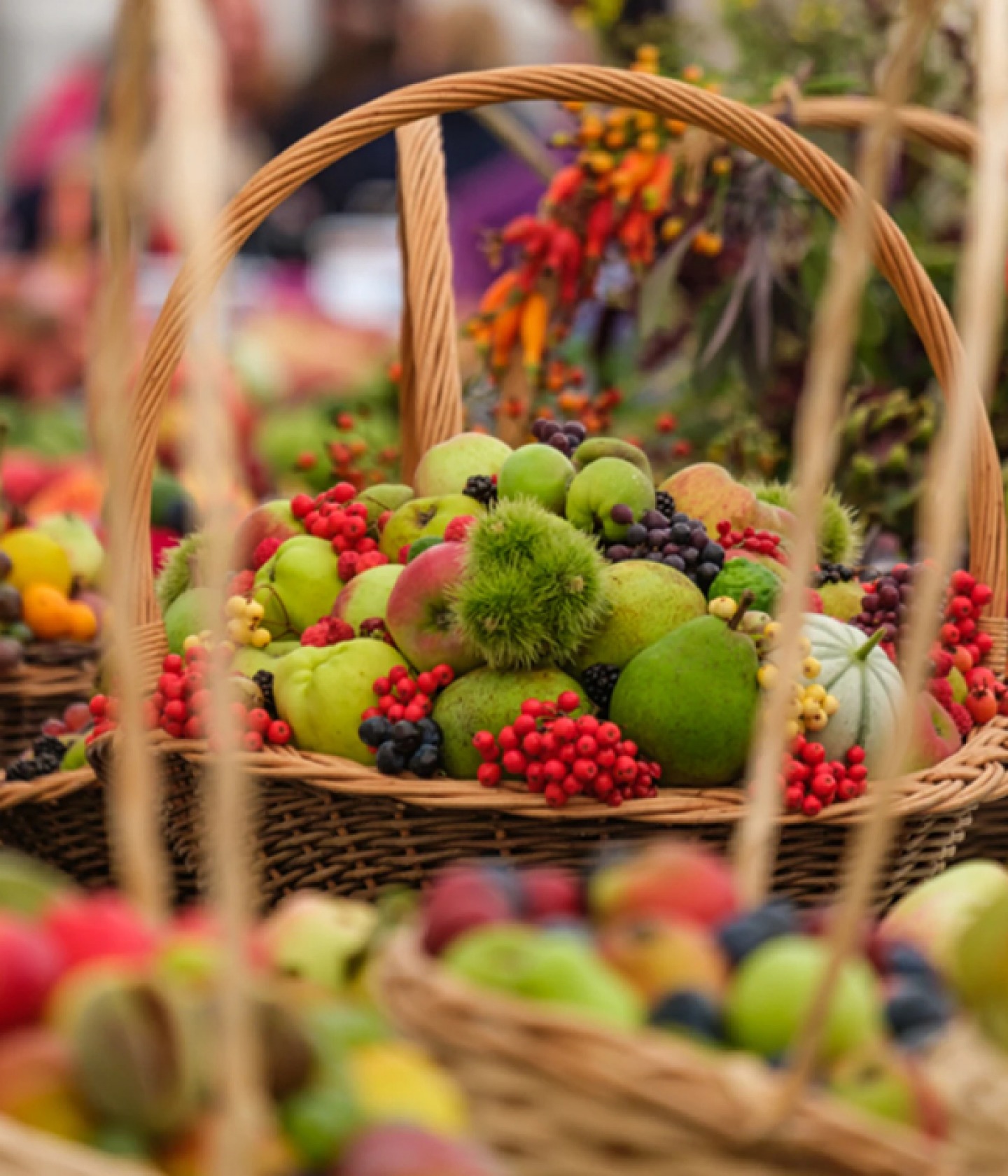 Harrogate Autumn Flower Show