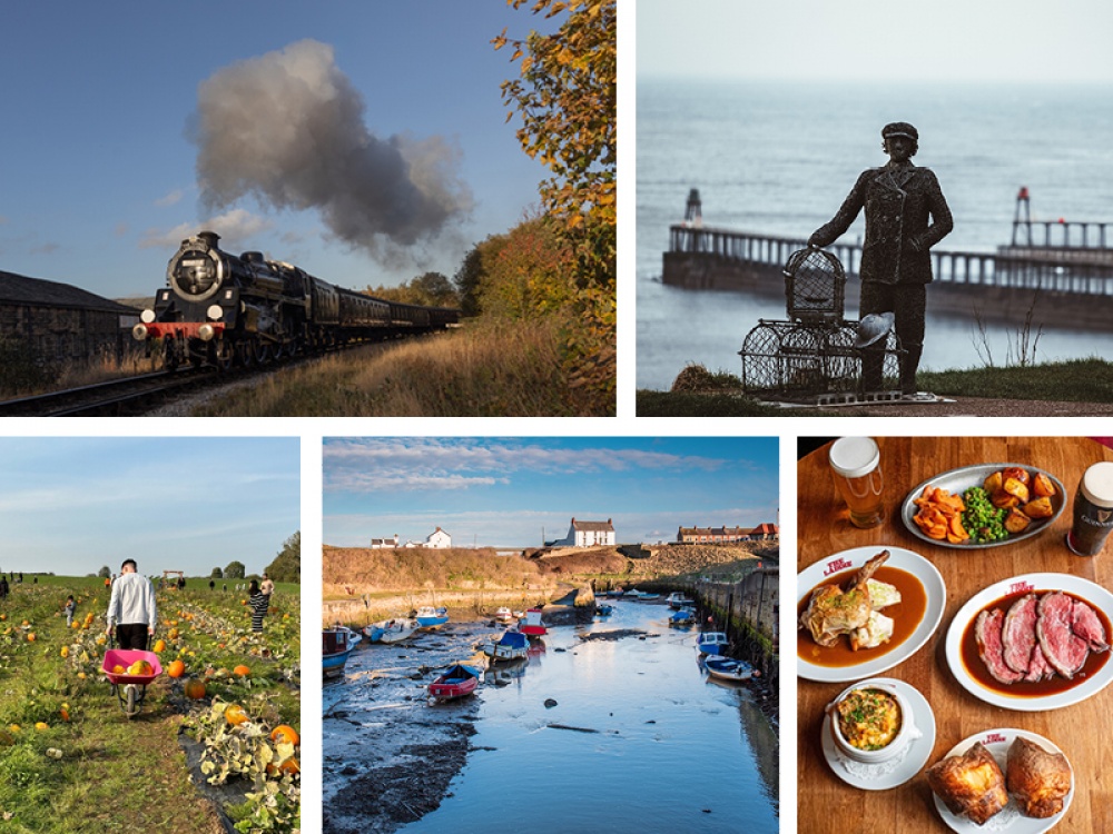 What To Do This Weekend