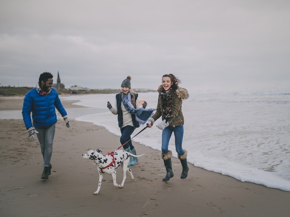 Dog walkers at Tynemouth Longsands