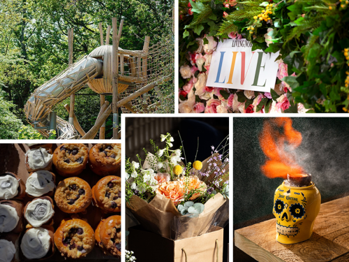 What To Do This Weekend