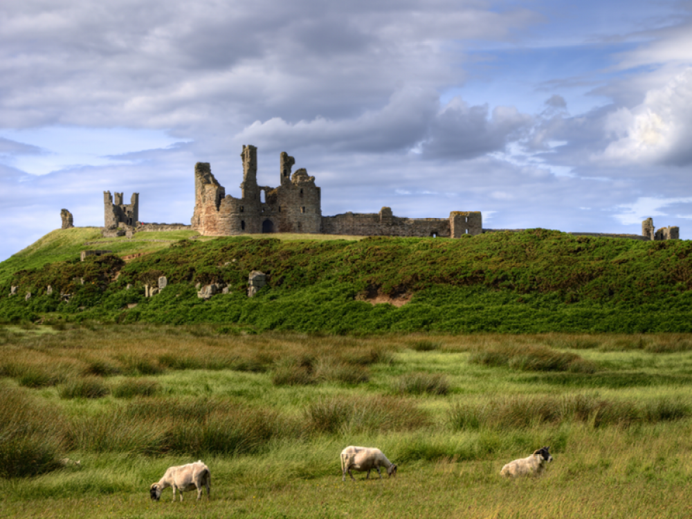 Dunstanburgh Castle (c) Dreamtime