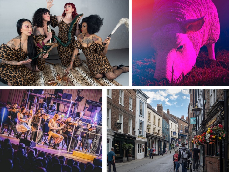 Great Things to Do This Weekend