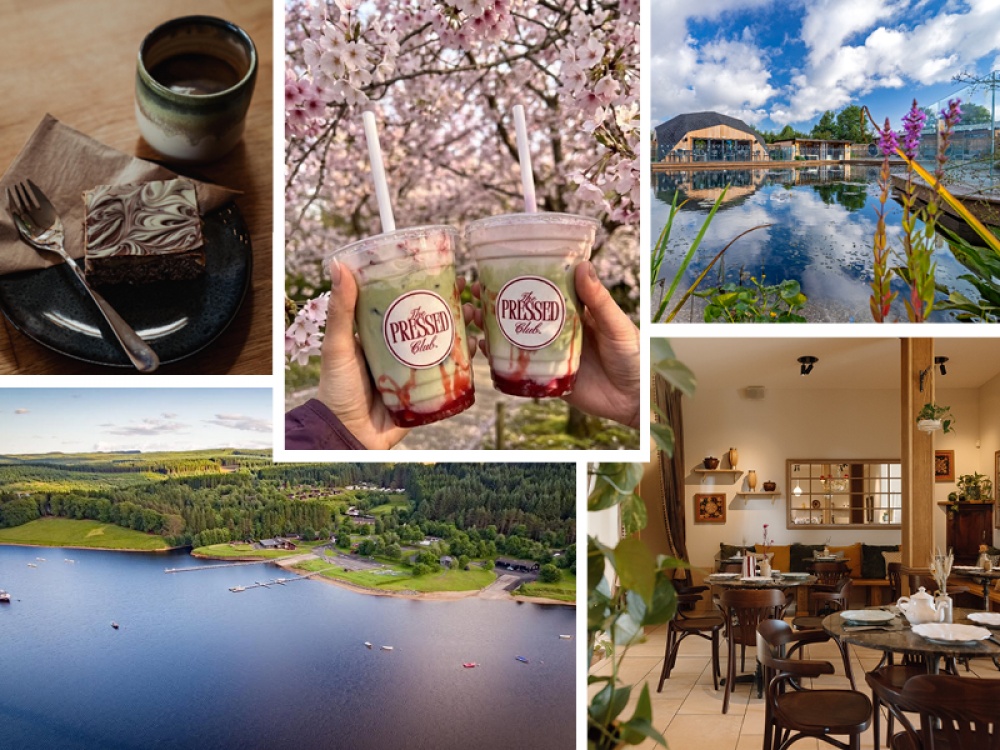 What To Do This Weekend