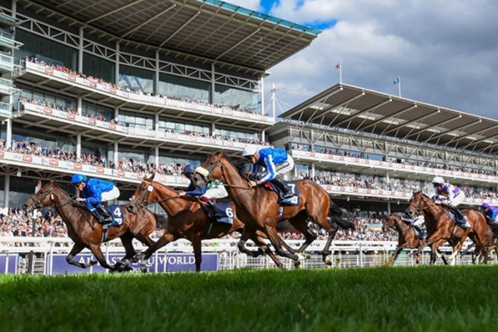 Horses racing at York Racecourse