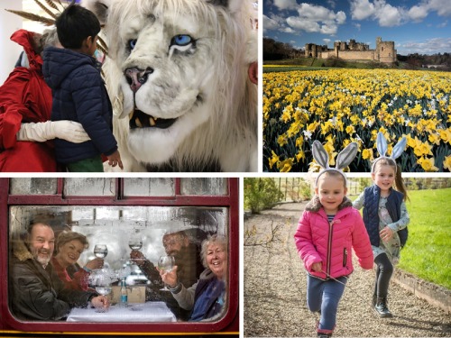 Cracking Things to Do This Weekend