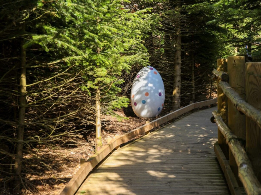 The Plotters’ Forest and Easter Family Fun