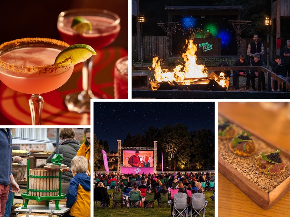 What To Do This Weekend