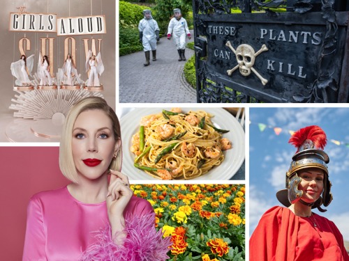 Jump into June: Here's What to Do this Weekend