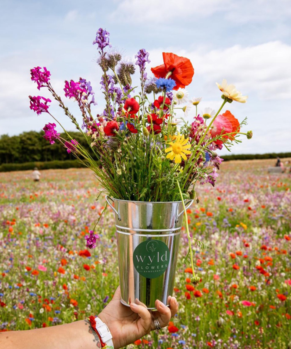 Wyld Flowers