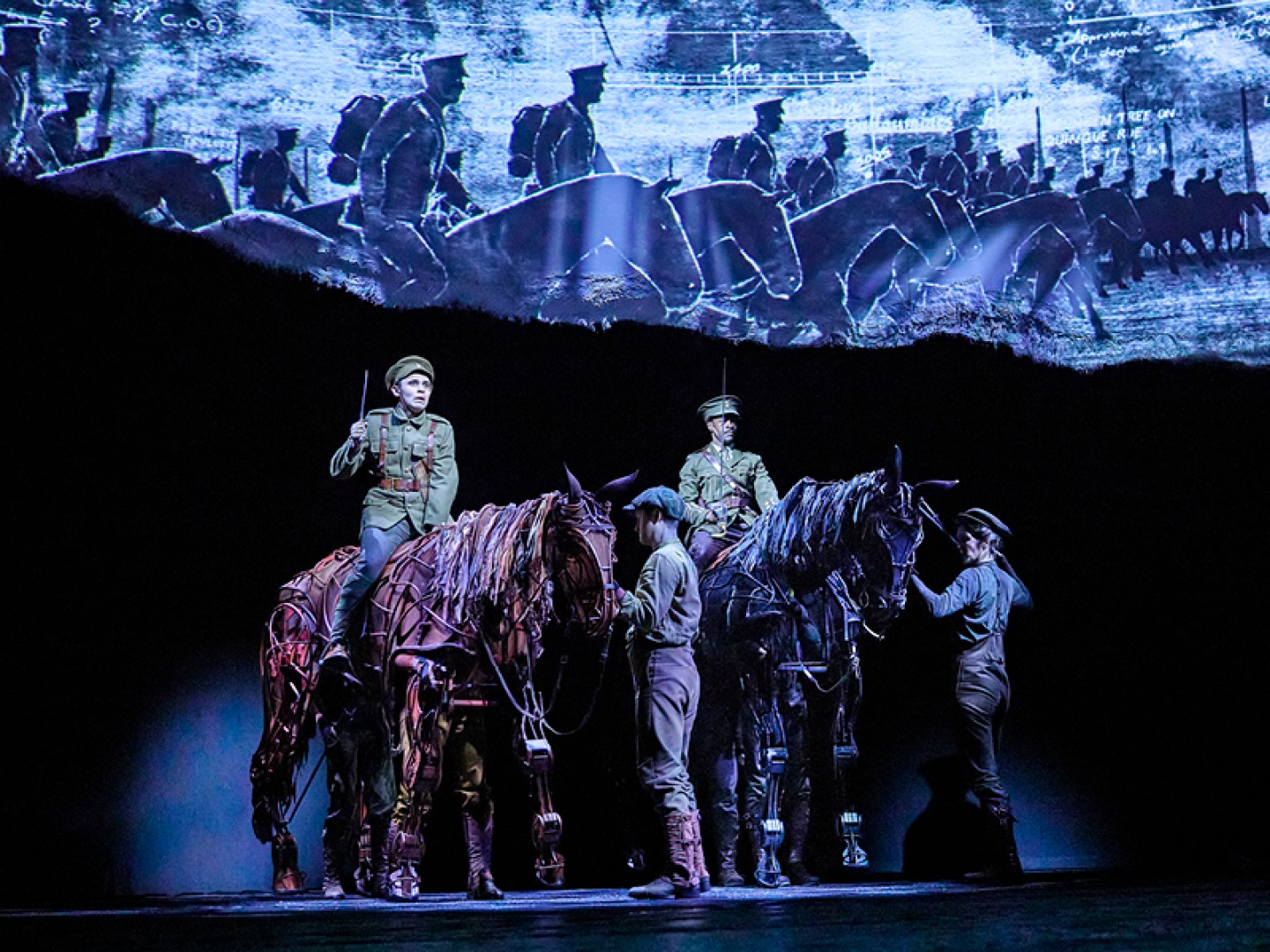 Haydn Burke (Billy Narracott), Tea Poldervaart, Robin Hayward, Gun Suen (Joey), Daniel Rock as Captain Stewart, Alexandra Donnachie, Lewis McBean, Michael Larcombe (Topthorn) in War Horse.