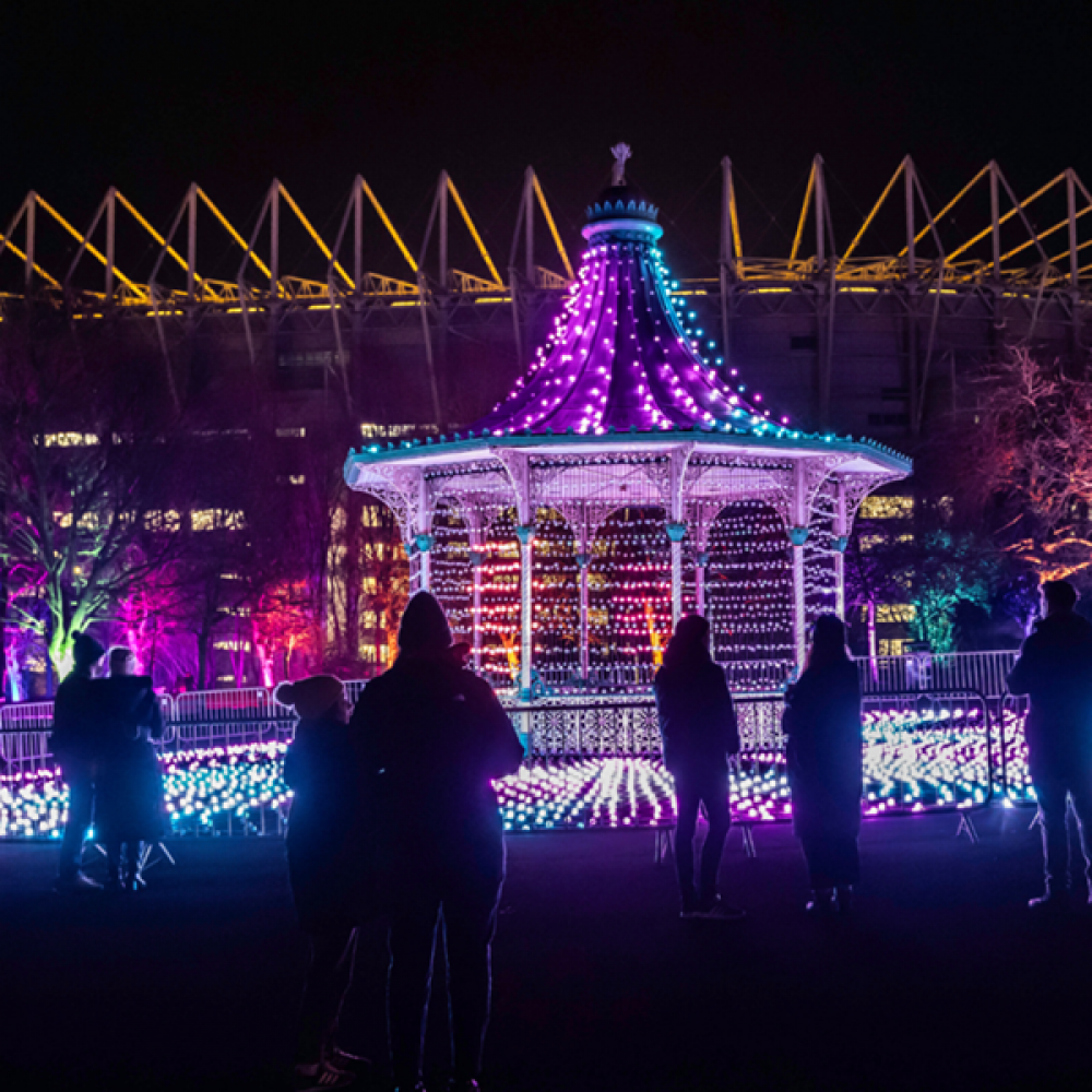 Christmas light show in a park