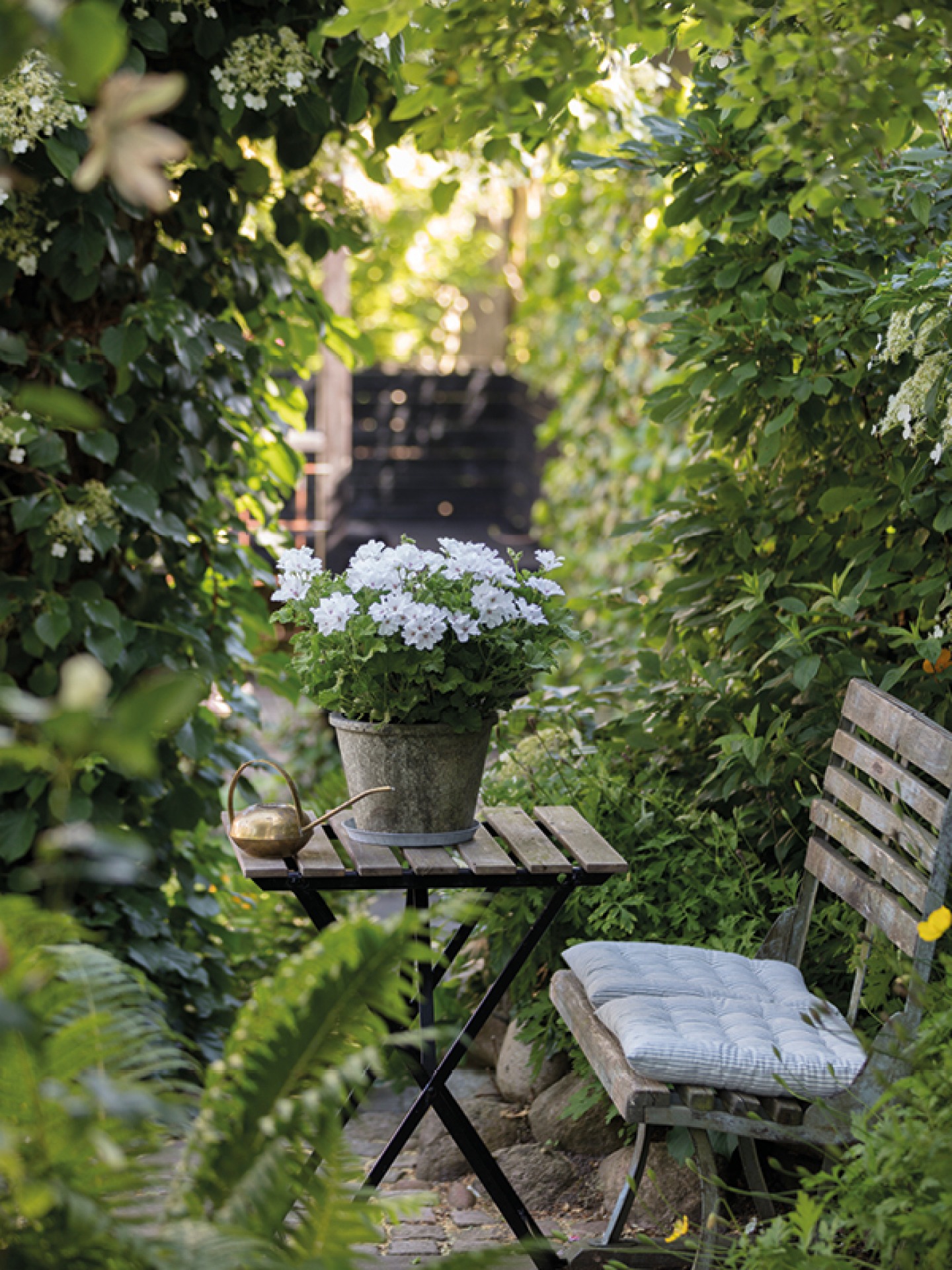 Garden table and bench seat surrounded by green foliage