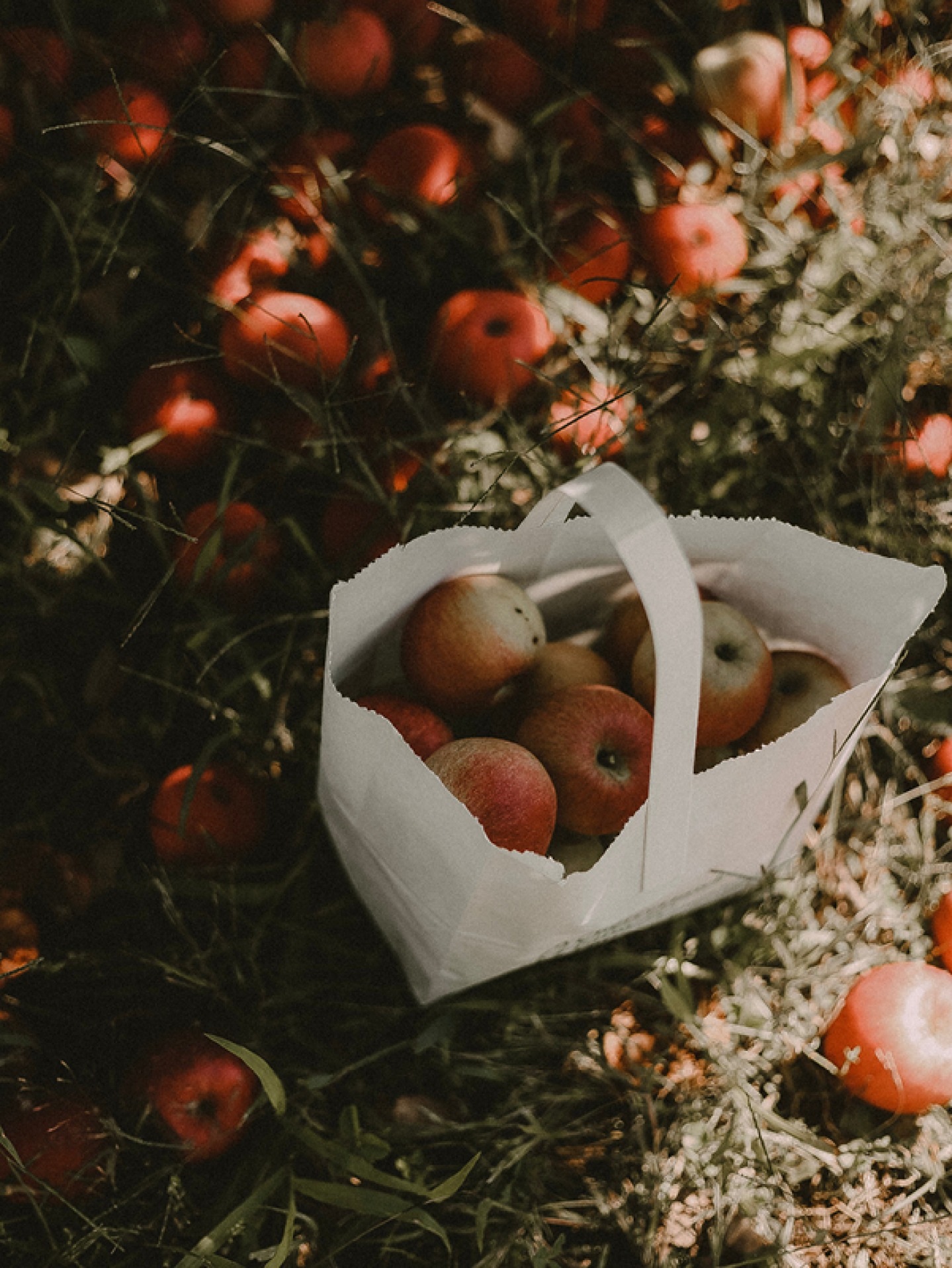 Unsplash