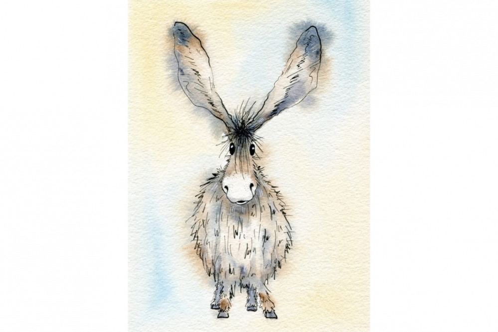 Hares and Herdwicks