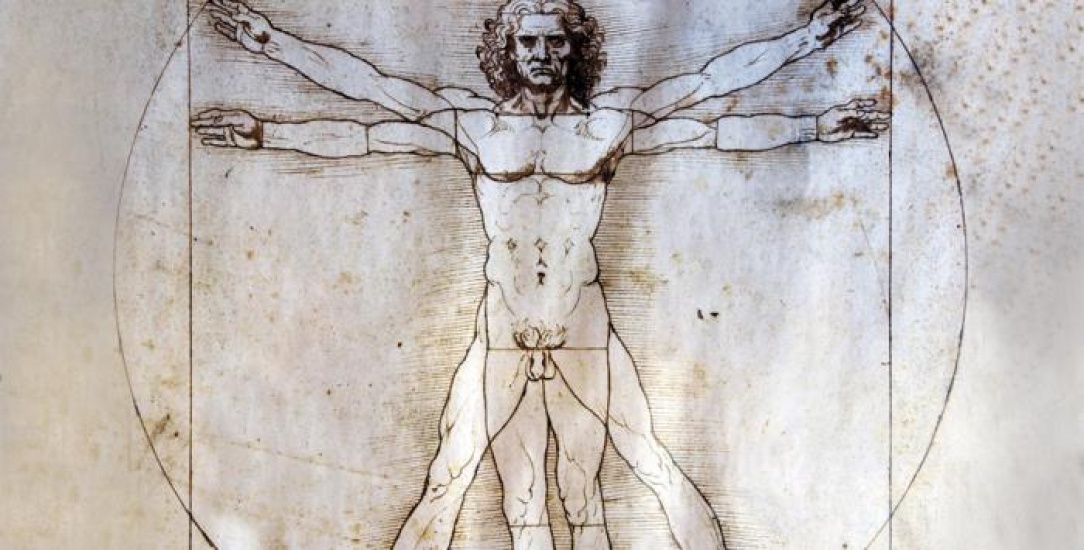 The Vitruvian Man, DaVinci