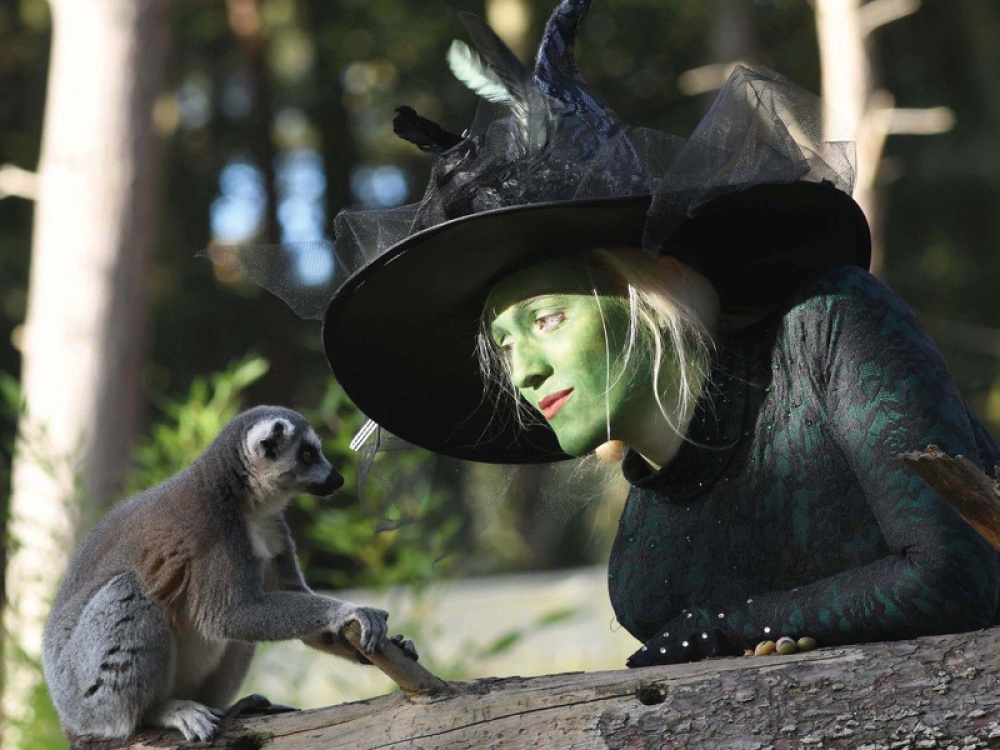 Hocus Pocus Spooktacular on an outdoor big screen
