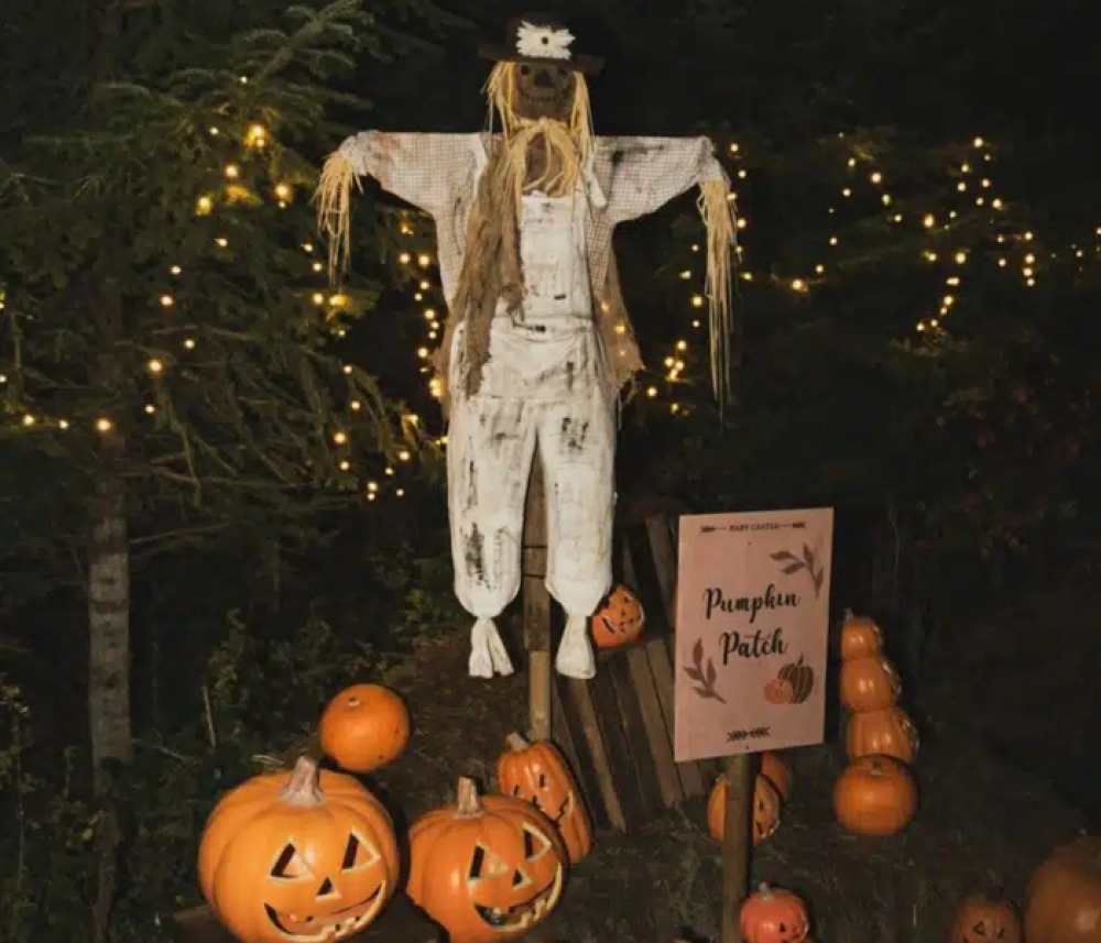 Halloween After Dark in The Plotters’ Forest